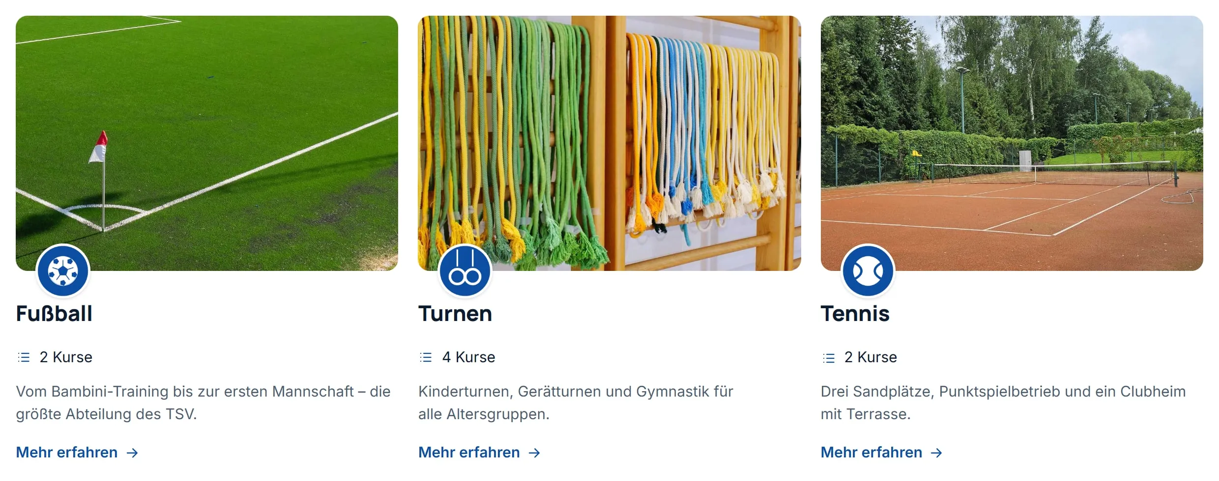 Die Seite „Abteilungen“ des Demovereins auf der Website. Die Abteilungen stehen als Karten nebeneinander, jede mit Bild, rundem Symbol, Name, Zahl der Kurse, einem kurzen Text und dem Link „Mehr erfahren“.