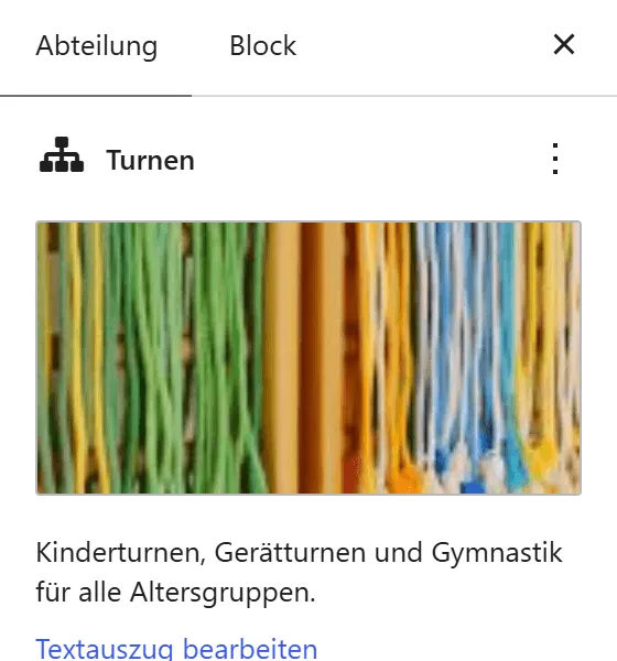 Der obere Teil der Seitenleiste im Editor der Abteilung „Turnen“: Das Bild der Abteilung, darunter der Kurztext „Kinderturnen, Gerätturnen und Gymnastik für alle Altersgruppen.“ mit dem Link „Textauszug bearbeiten“.